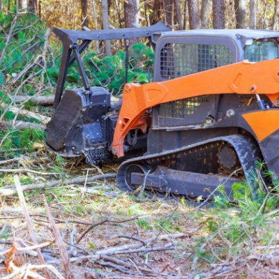 Brush Clearing